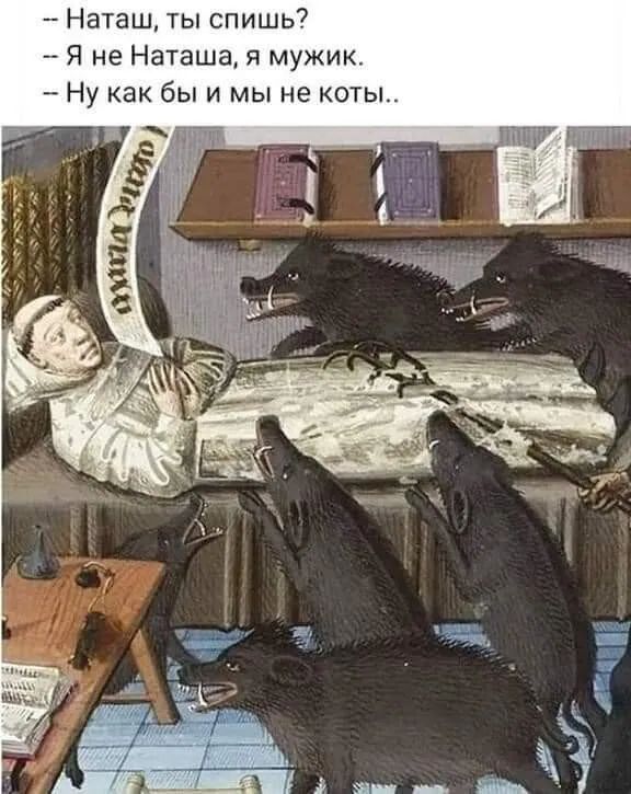 Наташ ты спишь Я не Наташа я мужик Ну как бы и мы не коты