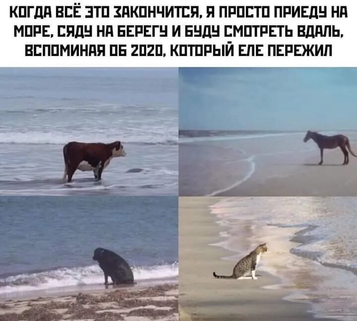 КПГдд ВСЁ ЭТП ЗПКПНЧИТЕП Я ПРПЕТП ПРИЕдН Нд МИРЕ ЕПЛ НП БЕРЕГ И БНП ЁМПТРЕТ Ь ВддПЬ ВЕППМИНПЯ ПЕ 2П2П КПШРЫИ ЕПЕ ПЕРЕЖИП