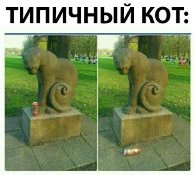 ТИПИЧНЫЙ КОТ