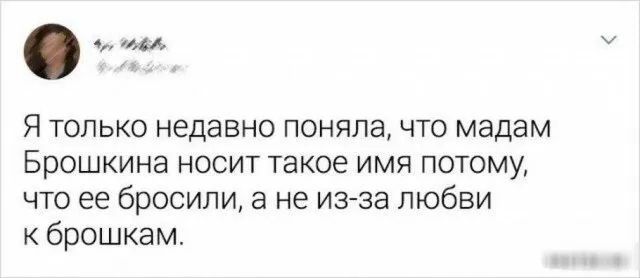 ш Я только недавно поняла что мадам Брошкина носит такое имя потому что ее бросили а не изза любви к брошкам