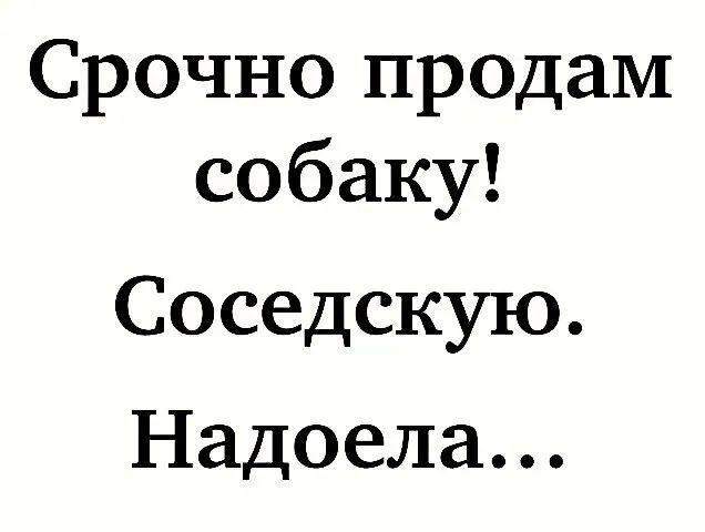 Срочно продам собаку Соседскую Надоела