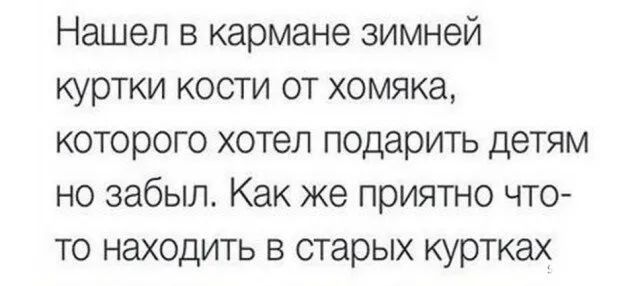 Нашел в кармане зимней куртки кости от хомяка которого хотел подарить детям но забыл Как же приятно что то находить в старых куртках