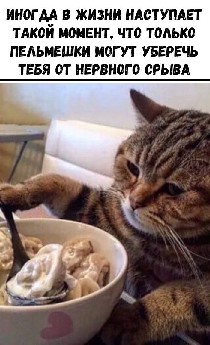 жили в жизни НАСТУПАЕТ ТАКОЙ момент что только пвдьмвшки могут увврвчь ТЕБЯ ОТ НЕРВНОГО СРЫВА