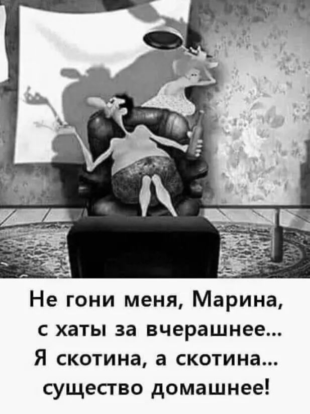 Не гони меня Марина с хаты за вчерашнее Я скотина а скотина существо домашнее