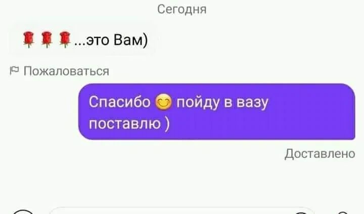 Сегодня это Вам Р Пожаловаться Спасибо А пойду в вазу поставлю Доставлено