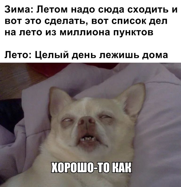 Зима Летом надо сюда сходить и вот это сделать вот список дел на лето из миллиона пунктов Лето Целый день лежишь дома ШРВШП ТП ШШ