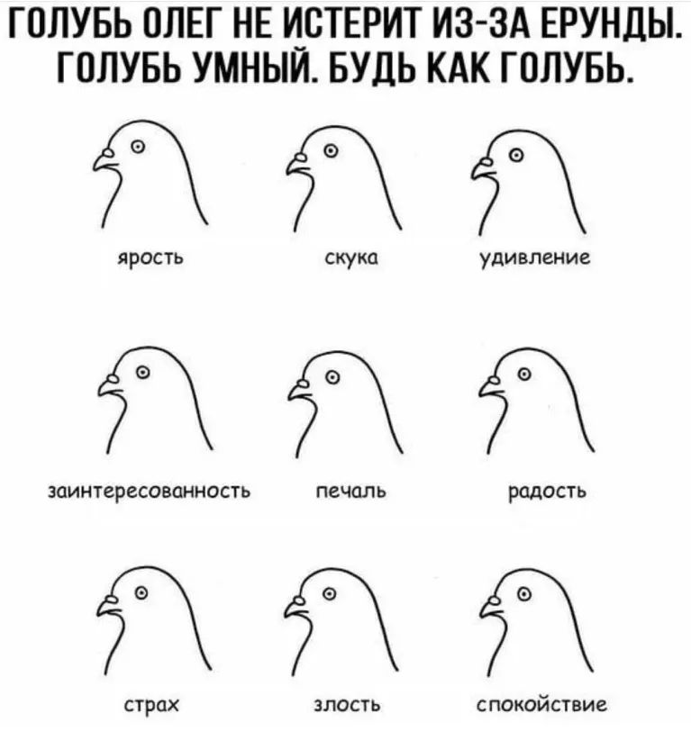 ГОЛУБЬ ОЛЕГ НЕ ИСТЕРИТ ИЗ ЗА ЕРУНДЫ ГПЛУБЬ УМНЫЙ БУДЬ КАК ГОЛУБЬ ддд ЯРОСТЬ СКУКО удивление ЗОИНТВРЗСОВОННОСТЬ ПВЧОЛЬ РОДОСТЬ Й страх ЗЛОСТЬ СПОКОЙСТВИВ