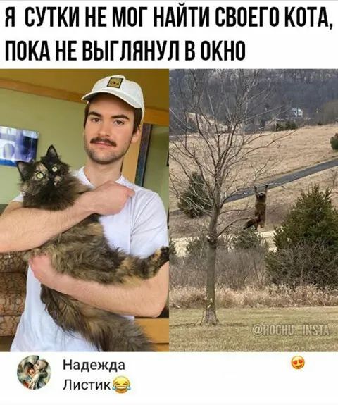 Я СУТКИ НЕ МПГ НАЙТИ СВОЕГО КПТА П0КА НЕ ВЫГЛННУЛ В ОКНО Надежда Листик