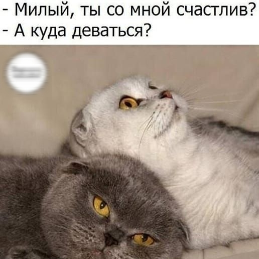 Милый ты со мной счастлив А куда деваться
