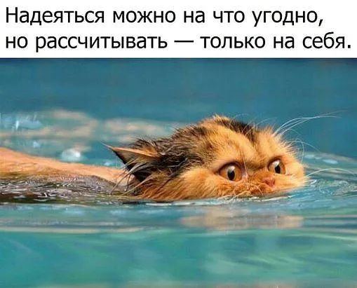 Надеяться можно на что угодно но рассчитывать только на себя