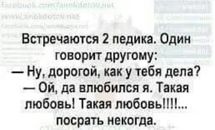 Встречаются 2 педика Один говорит дРУгому Ну дорогой как у тебя дела Ой да влюбился я Такая любовь Такая любовь посрать некогда