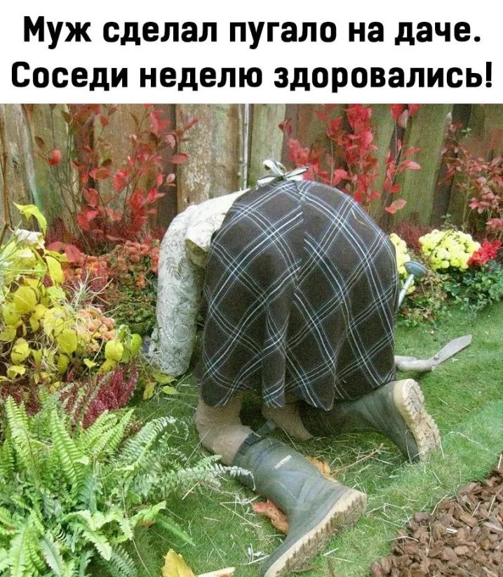 Муж сделал пугало на даче Соседи неделю здоровались