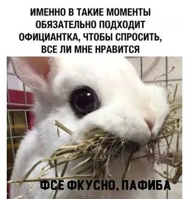 ИМЕННО В ТАКИЕ МОМЕНТЫ ОБЯЗАТЕЛЬНО ПОДХОДИТ ОФИЦИАНТКА ЧТОБЫ СПРОСИТЬ ВСЕ ЛИ МНЕ НРАВИТСЯ