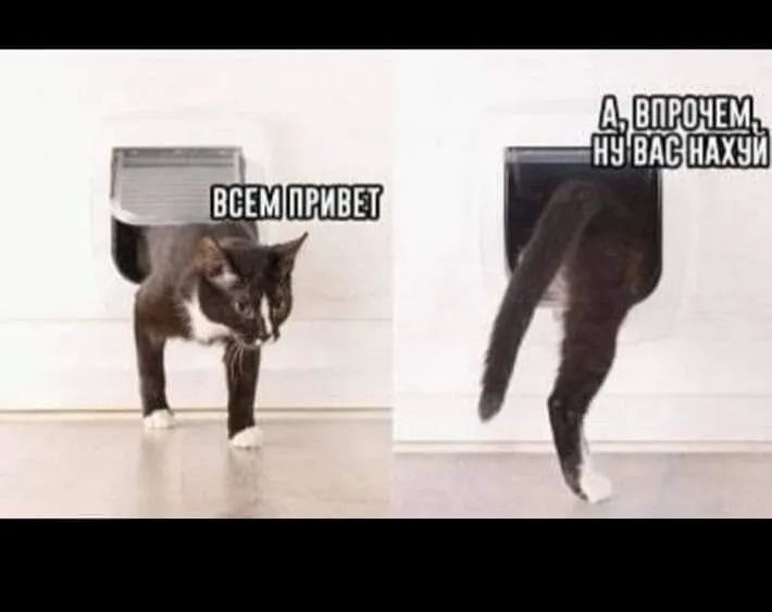 ПРИВЕТ