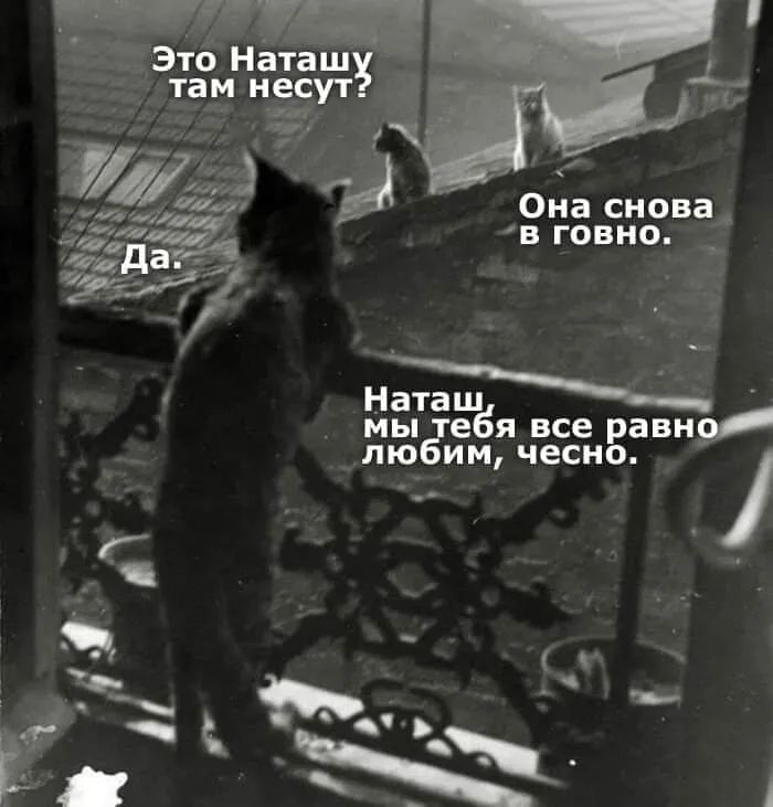 Она снова 552 в говно __ нм мы ебя все рёвн лю им чесно я 3 Ь А ч г