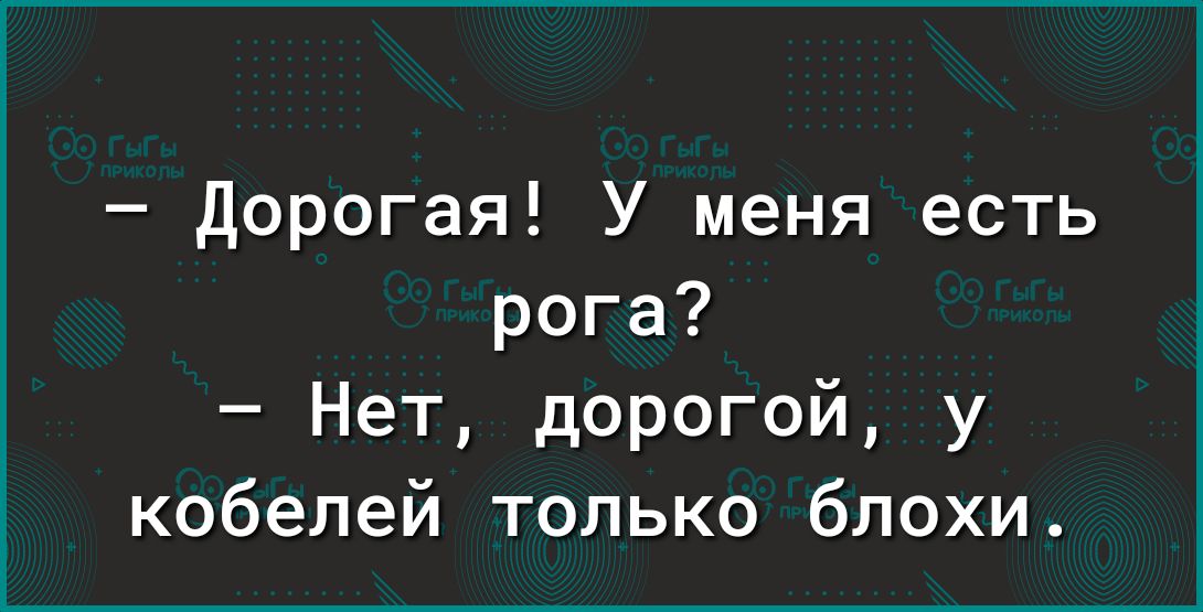 Дорогая У меня есть рога Нет дорогой у кобелей только блохи