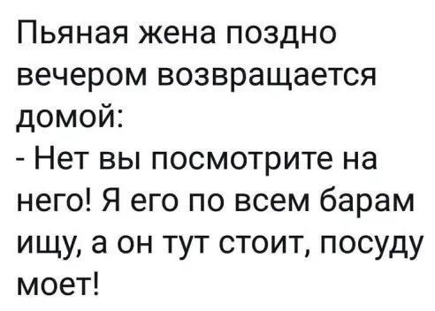 Пьяная жена поздно вечером возвращается домой Нет вы посмотрите на него Я его по всем барам ищу а он тут стоит посуду моет
