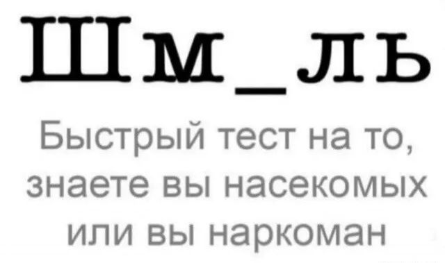 Шм_ль Быстрый тест на то знаете вы насекомых или вы наркоман