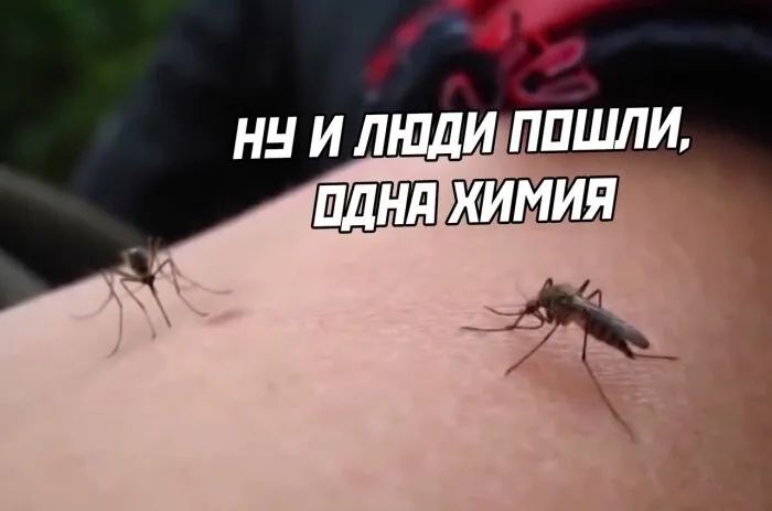 Шкимия 4 У