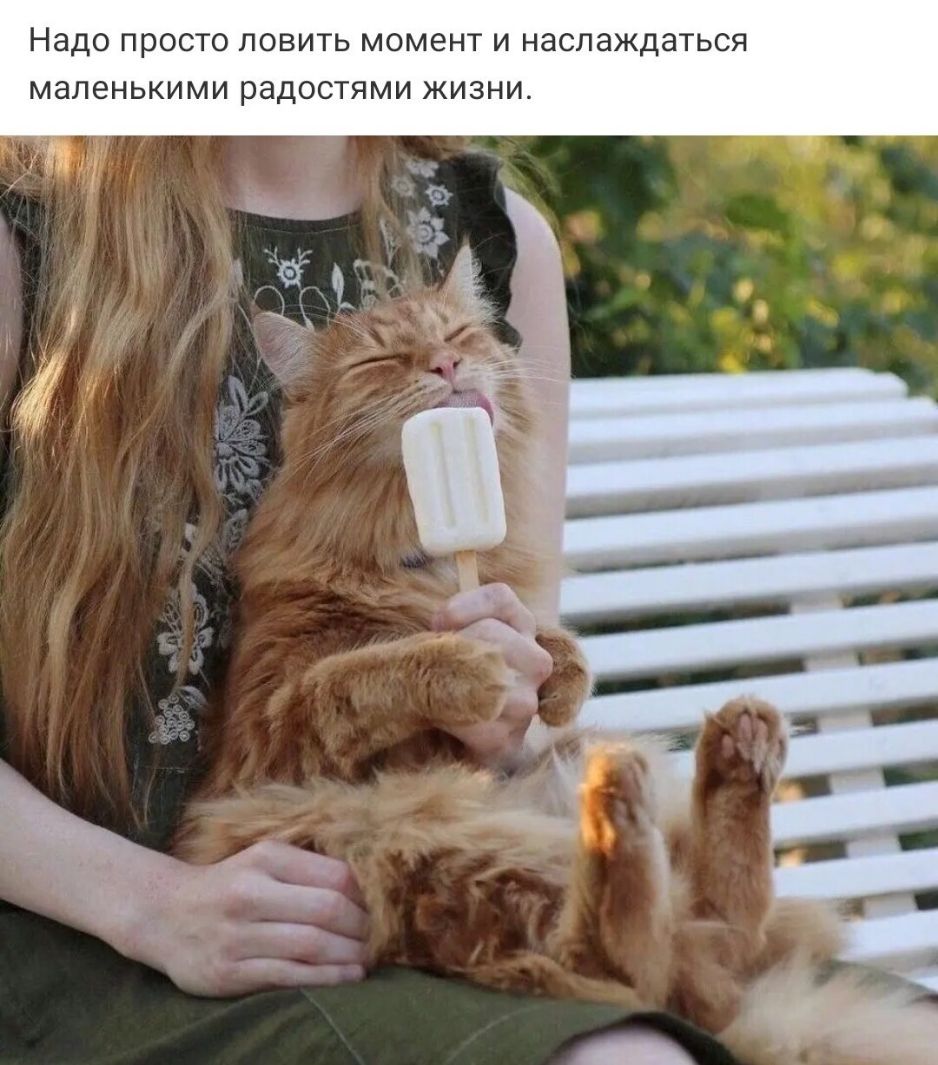 НЗДО ПРОСТО ЛОВИТЬ МОМЕНТ И НЗСПЭЖДЭТЬСЯ МЭЛЭНЬКИМИ радостями ЖИЗНИ