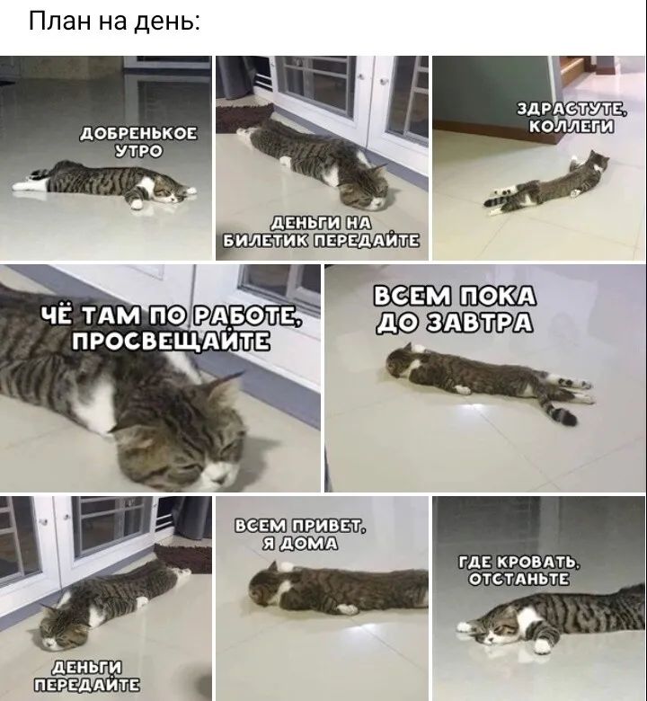 План на день дОБРЕНЬКОЕ гц кровдть визита _ деньги ПЕРЕДАИТЕ