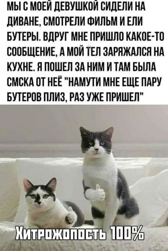 МЫ В МПЕИ ДЕВУШКПИ ВИДЕЛИ НА дИВАНЕ СМОТРЕЛИ ФИЛЬМ И ЕЛИ БУТЕРЫ ВЛРУГ МНЕ ПРИШЛО КАКИЕ ТО ВПОБЩЕНИЕ А МПИ ТЕЛ ЗАРНЖАЛСЯ НА КУХНЕ Н ПОШЕЛ ЗА НИМ И ТАМ БЫЛА СМСКА ПТ НЕЁ НАМУТИ МНЕ ЕЩЕ ПАРУ БУТЕРПВ ПЛИЗ РАЗ УЖЕ ПРИШЕЛ