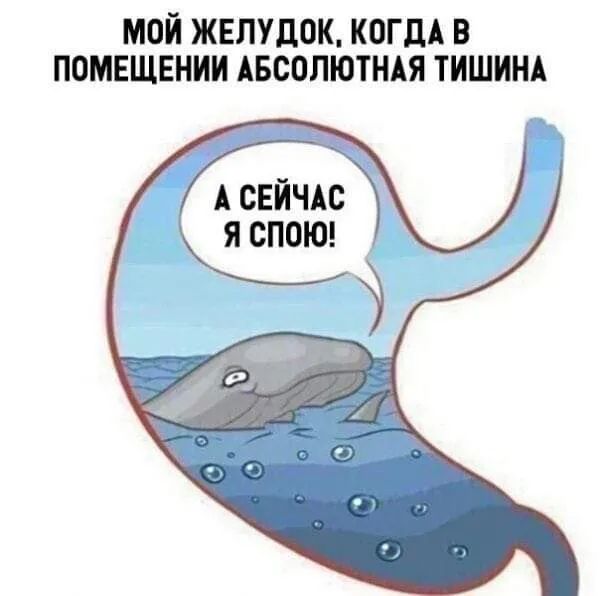 МОЙ ЖЕЛУДОК КОГДА В ПОМЕЩЕНИИ АБСОЛЮТНАЯ ТИШИНА А свйчю я СПОЮ