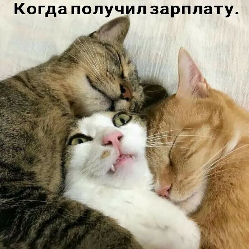 Когда получил зарплату
