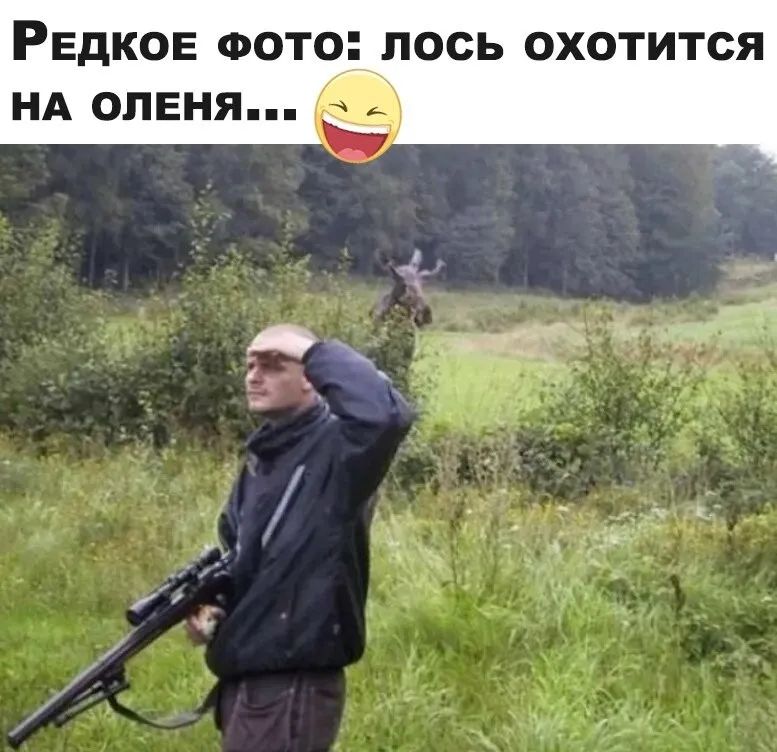 РЕДКОЕ ФОТо ПОСЬ ОХОТИТСЯ НА ОЛЕНЯ п 1