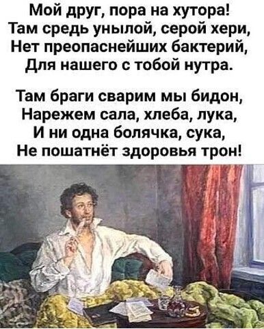 Мой друг пора на хуторе Там средь унылой серой хери Нет преопаснейших бактерий для нашего с тобой нутра Там браги сверим мы бидон Нарежем сала хлеба лука и ни одна болячки сука Не пошатнёт здоровья трон