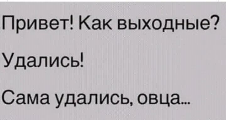 Привет Как выходные Удались Сама удались овца