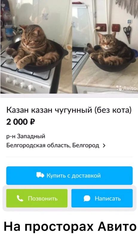 Казан казан чугунный без кота 2 000 р н Западный Белгородская область Белгород На просторах Авито