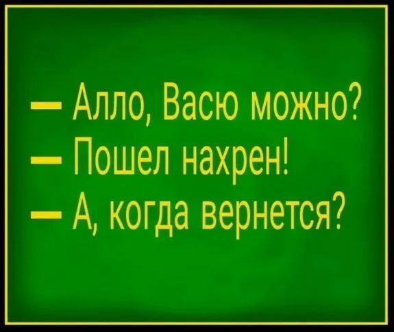 Алло Васю можно Пошел нахрен А когда вернется