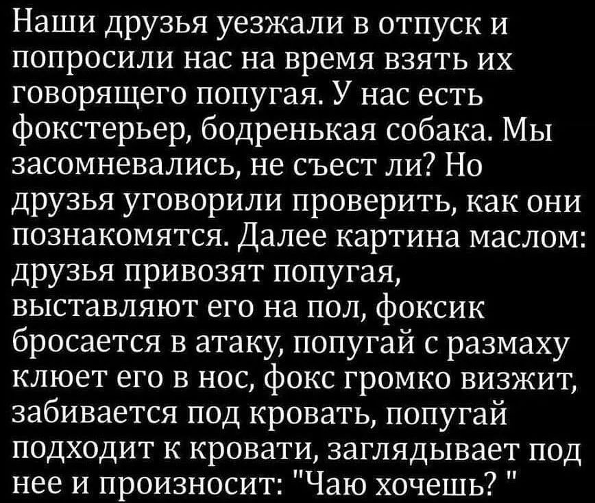 Наши друзья уезжали в отпуск и попросили нас на время взять их говорящего попугая У нас есть фокстерьер бодренькая собака МЫ засомневались не съест ли Но друзья уговорили проверить как они познакомятся Далее картина маслом друзья привозят попугая выставляют его на пол фоксик бросается в атаку попугай с размаху клюет его в нос фокс громко визжит забивается под кровать попугай подходит к кровати заг