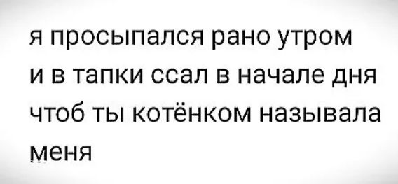 я просыпался рано утром и в тапки ссал в начале дня чтоб ты котёнком называла меня