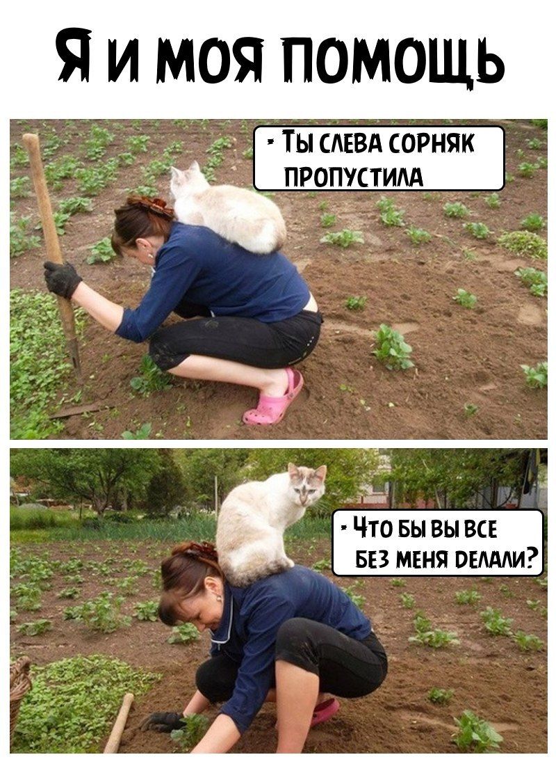 я И МОЯ ПОМОЩЬ