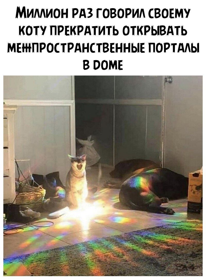 Мимион РАЗ ГОВОРИА свовму коту првкрдтить открывдть межпрострднстввнныв портдды
