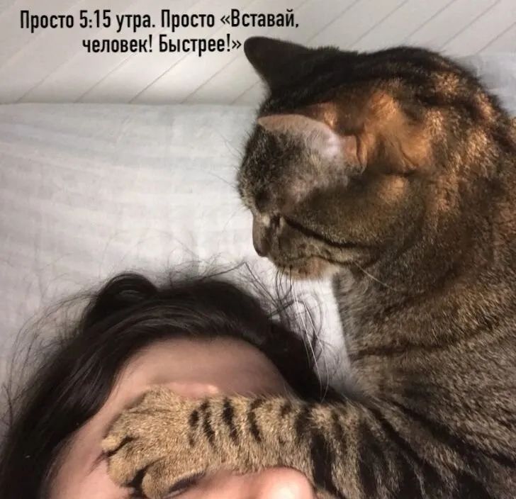 Просто 515 утра Просто Вставай человек Быстрее