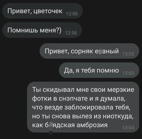 Привет цветочек Помнишь меня Привет сорняк ес аный Да я тебя помню Ты скидывал мне свои мерзкие фотки в снэпчате и я думала что везде заблокировала тебя но ты снова вылез из ниоткуда как 61 ядская амброзия