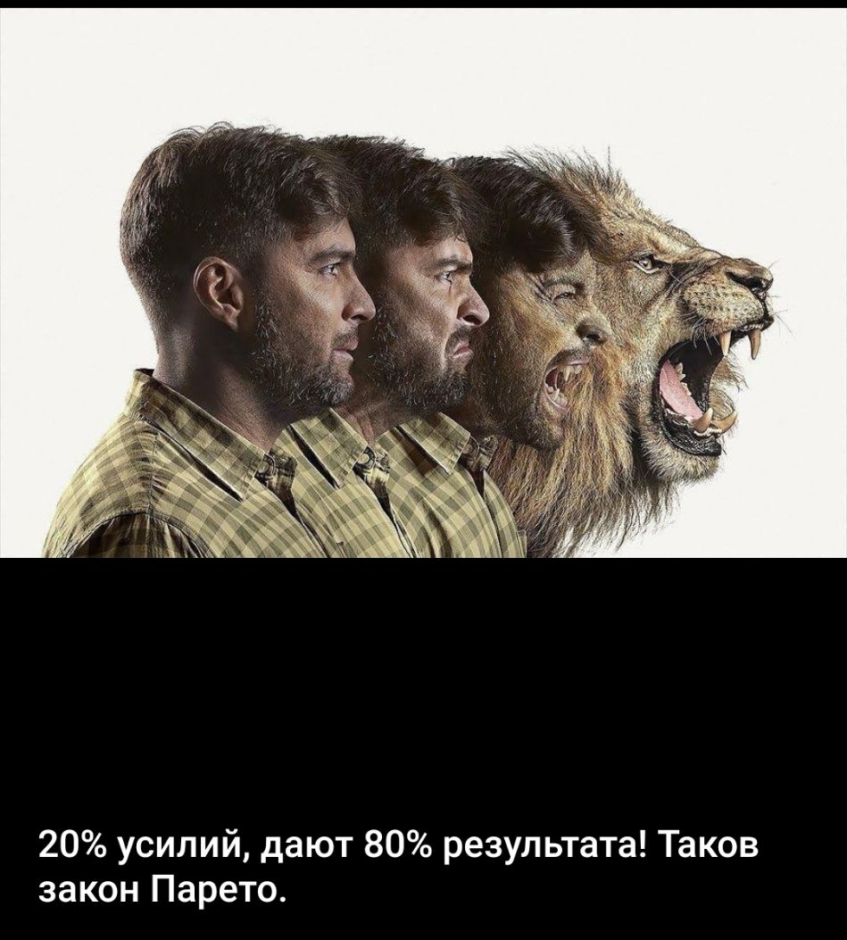 20 усилий дают 80 результата Таков закон Парето