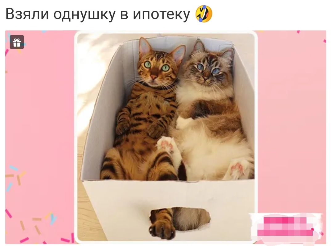 Взяли однушку в ипотеку