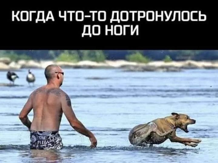КОГДА ЧТО ТО ДОТРОНУЛОСЬ ДП НОГИ