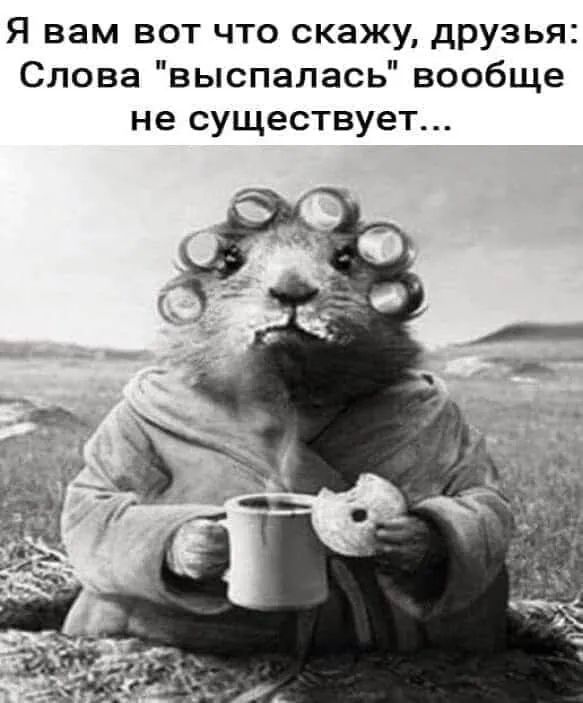 Я вам вот что скажу друзья Слова выспалась вообще не существует