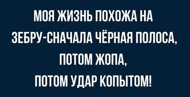 МОН ЖИЗНЬ ПОХОЖА НА ЗЕБРУ ОНАЧАЛА ЧЁРНАЯ ПОЛОСА ПОТОМ ЖОПА ПОТОМ УДАР КОПЫТОМ