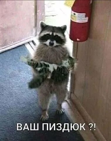 ВАШ ПИЗДЮК