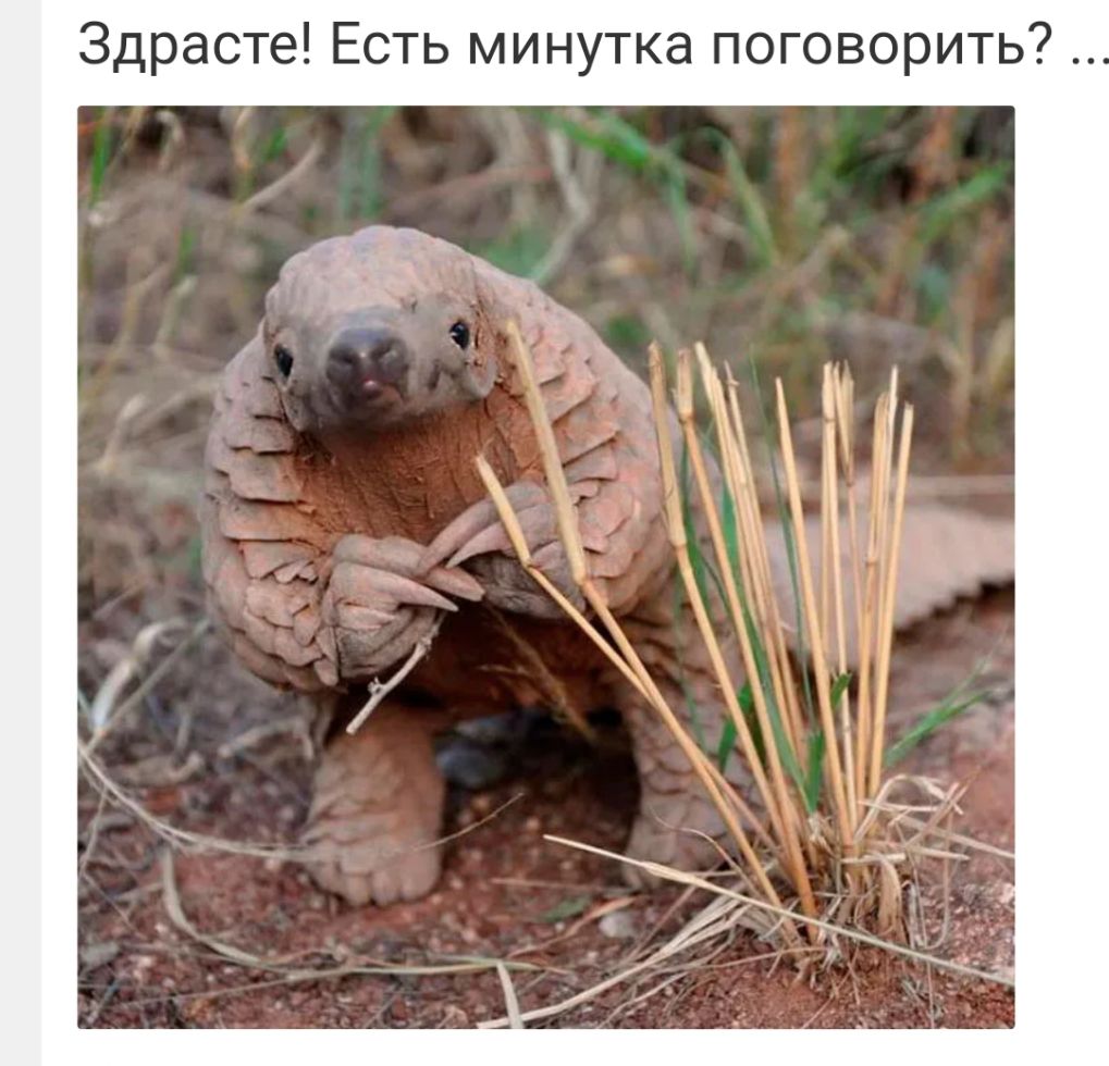 Здрасте Есть минутка поговорить