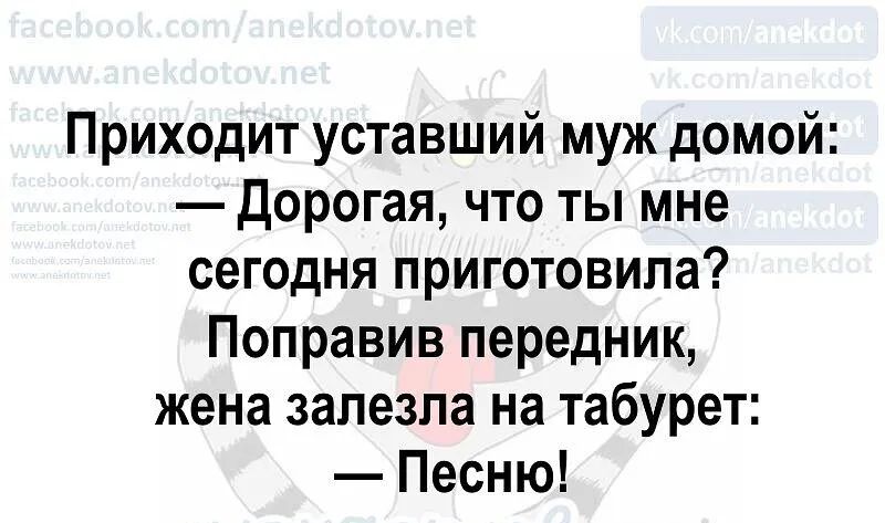 Приходит уставший муж домой Дорогая что ты мне сегодня приготовила Поправив передник жена залезла на табурет Песню