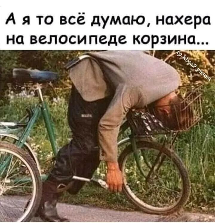 А я то всё думаю нахера на велосипеде корзина _ _ _ ч 7 чь