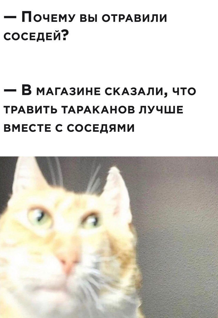 Почему вы отмвили соседей _ В МАГАЗИНЕ СКАЗАЛИ ЧТО ТРАВИТЬ ТАРАКАНОВ ЛУЧШЕ ВМЕСТЕ С СОСЕДЯМИ