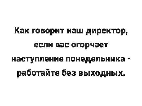 Как говорит наш директор если вас огорчает наступление понедельника работайте без выходных